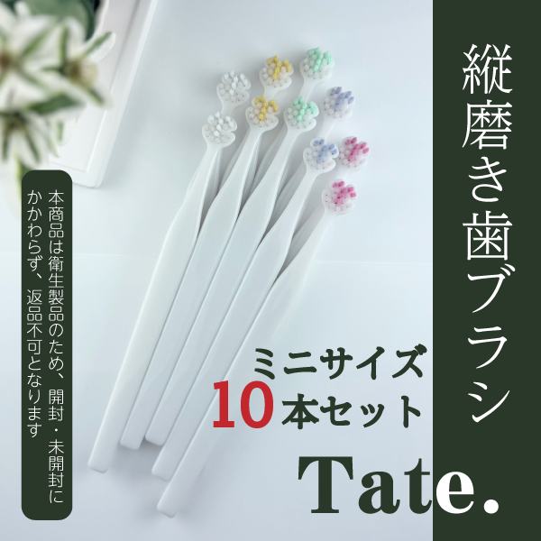 Tate.縦磨き歯ブラシ ミニサイズ(V3) 10本セット