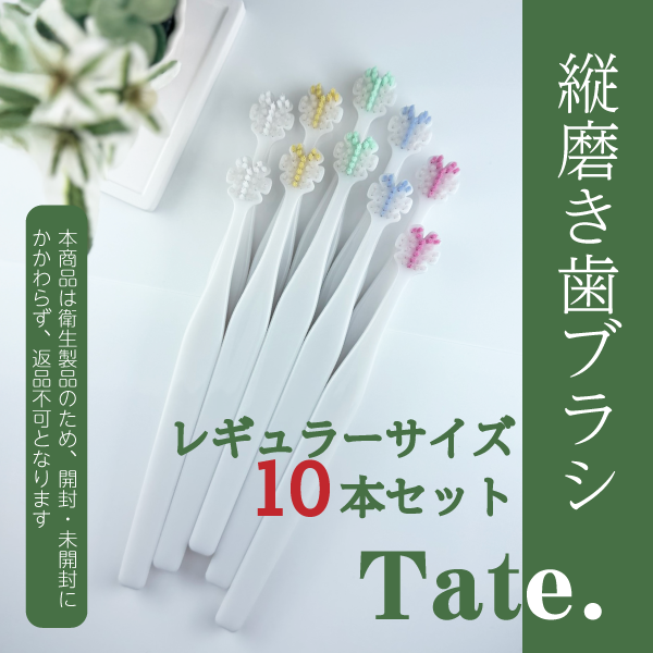 Tate.縦磨き歯ブラシ レギュラーサイズ(V5) 10本セット
