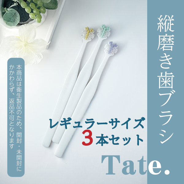 Tate.縦磨き歯ブラシ レギュラーサイズ(V5) 3本セット