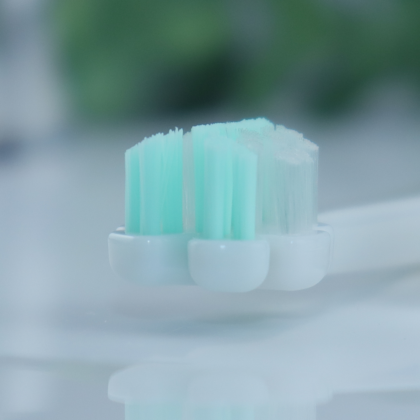 縦磨き歯ブラシV5（レギュラーサイズ）