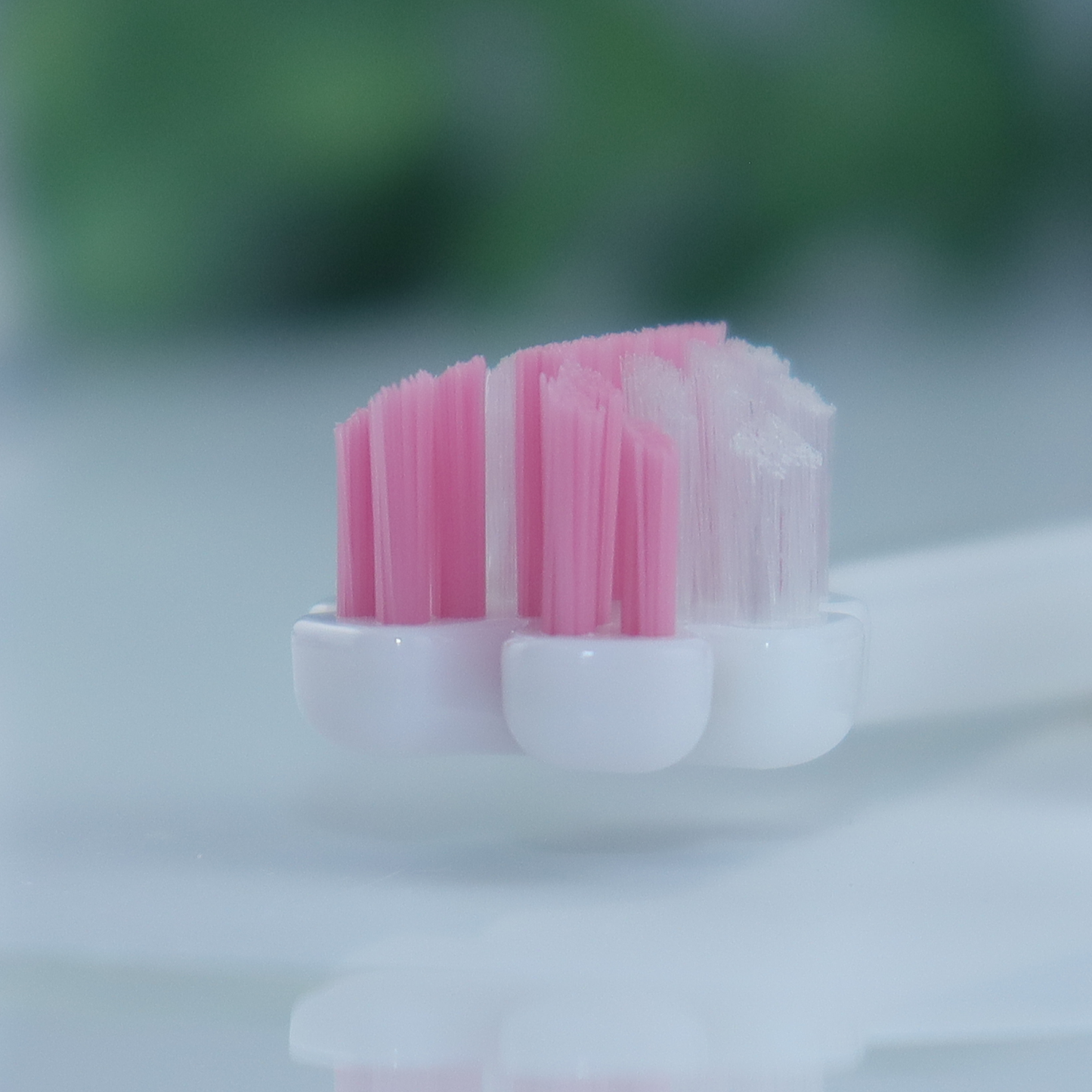 縦磨き歯ブラシV5（レギュラーサイズ）