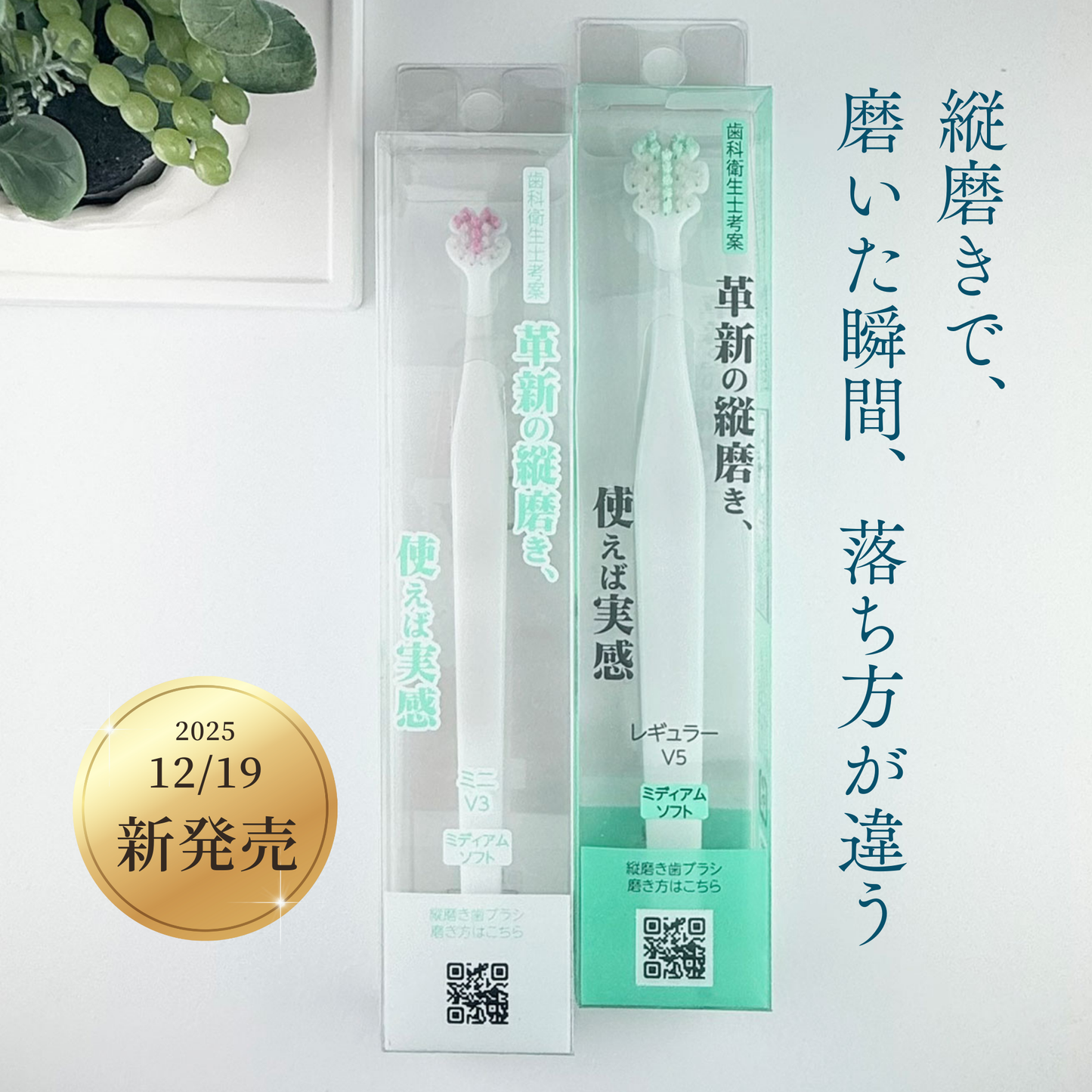 縦磨き歯ブラシTate. 2025/12/19新発売