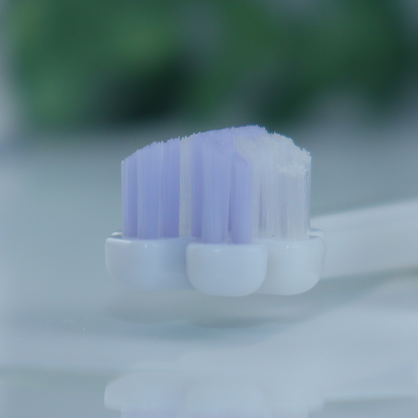 縦磨き歯ブラシV5（レギュラーサイズ）