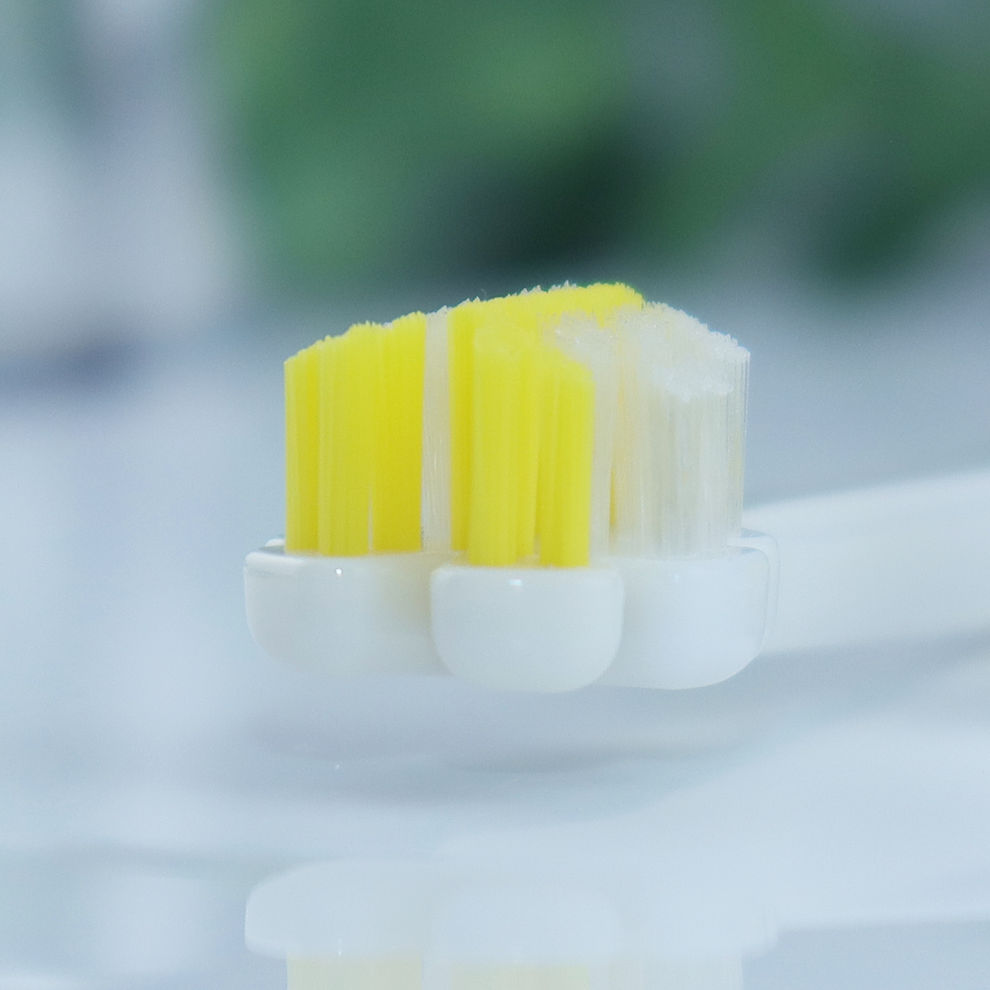 縦磨き歯ブラシV5（レギュラーサイズ）