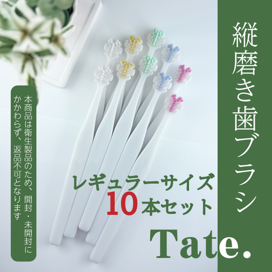 Tate.縦磨き歯ブラシ　レギュラーサイズ(V5)　10本セット