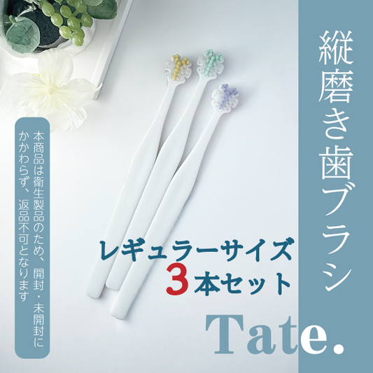 Tate.縦磨き歯ブラシ　レギュラーサイズ(V5)　3本セット