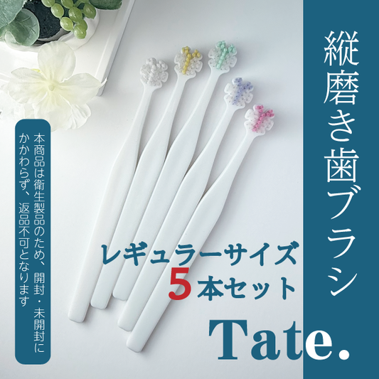 Tate.縦磨き歯ブラシ　レギュラーサイズ(V5)　5本セット