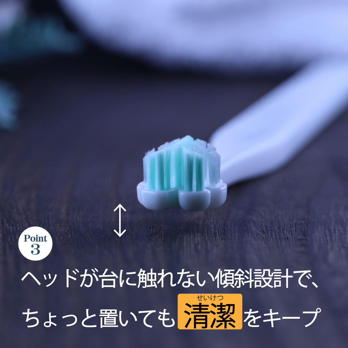 Tate.縦磨き歯ブラシ　レギュラーサイズ(V5)　3本セット