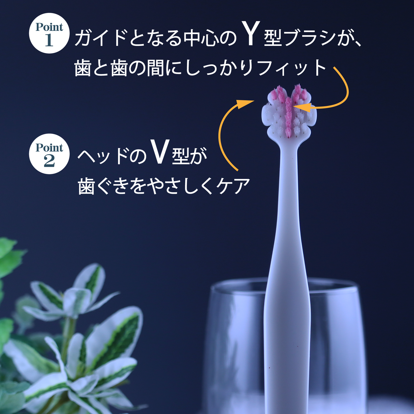 Tate.縦磨き歯ブラシ　レギュラー3本＆ミニ2本　5本セットB