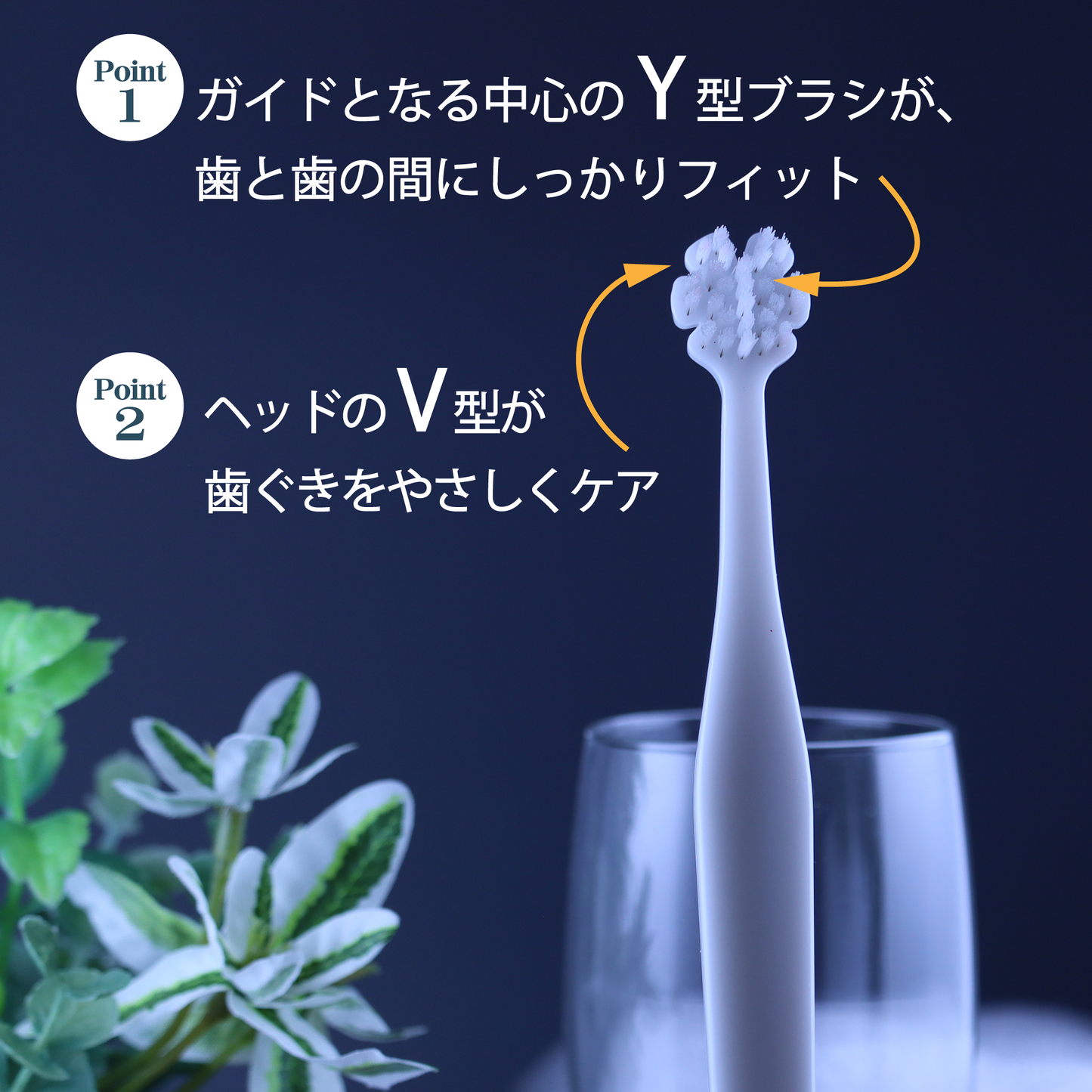 Tate.縦磨き歯ブラシ　レギュラーサイズ(V5)　5本セット