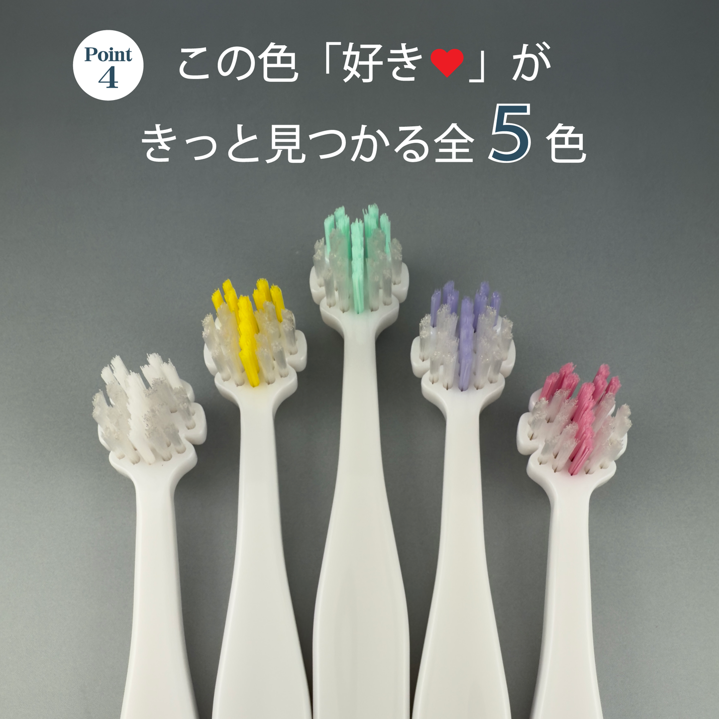 Tate.縦磨き歯ブラシ　レギュラーサイズ(V5)　5本セット