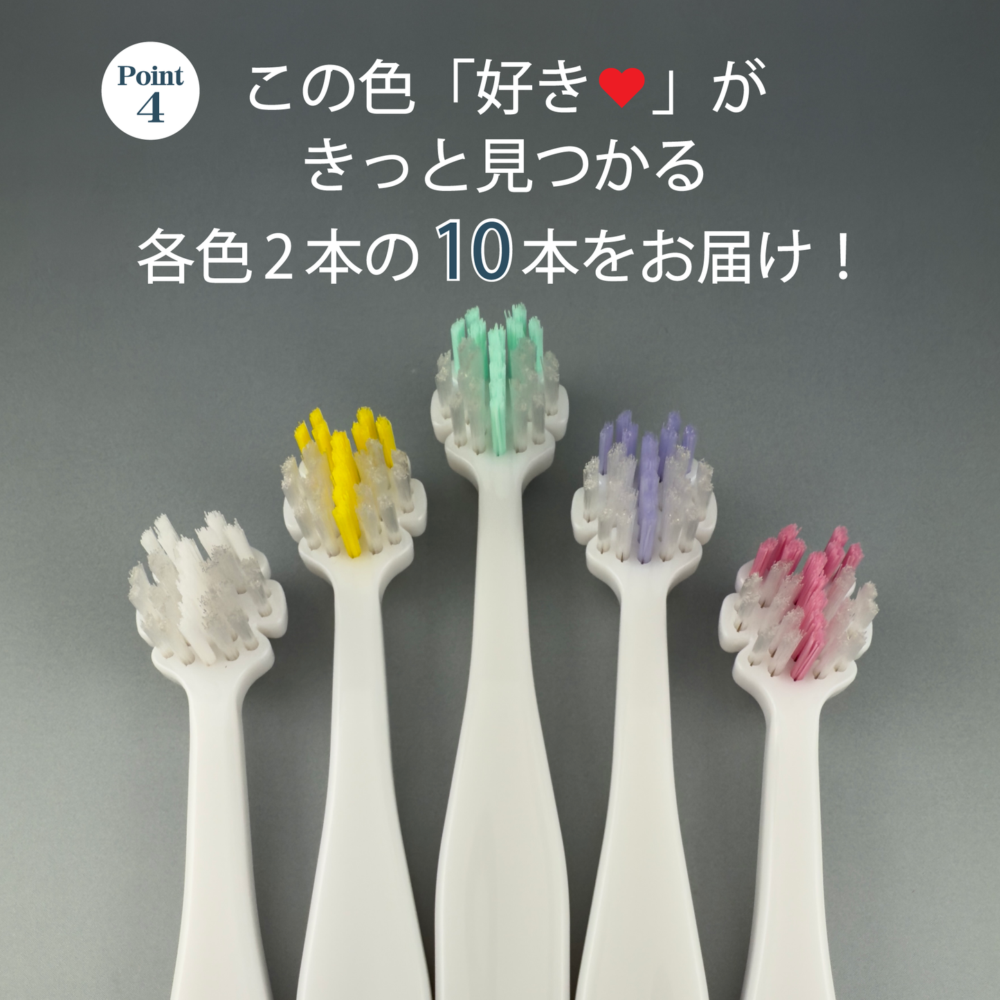 Tate.縦磨き歯ブラシ　レギュラーサイズ(V5)　10本セット