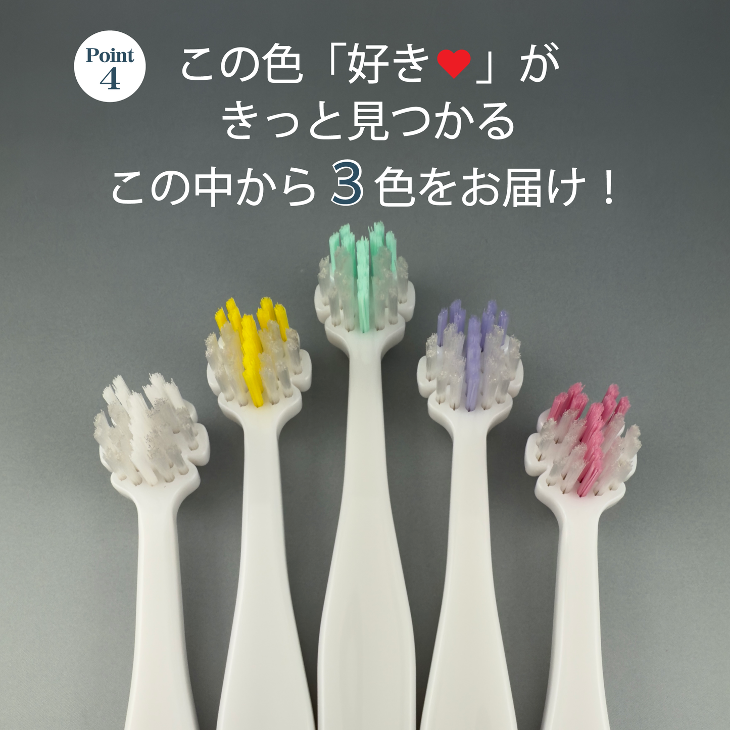 Tate.縦磨き歯ブラシ　レギュラーサイズ(V5)　3本セット