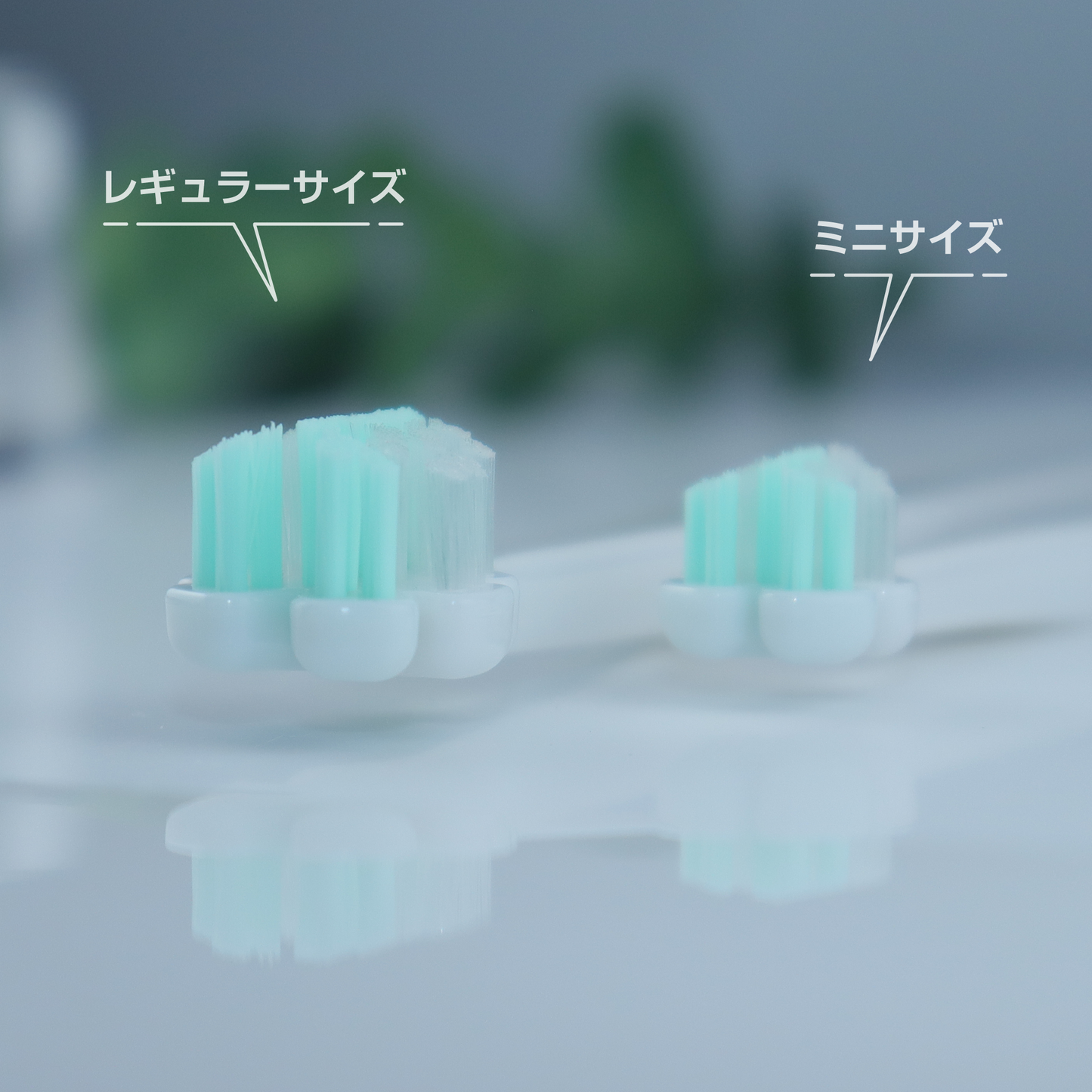 縦磨き歯ブラシV5（レギュラーサイズ）