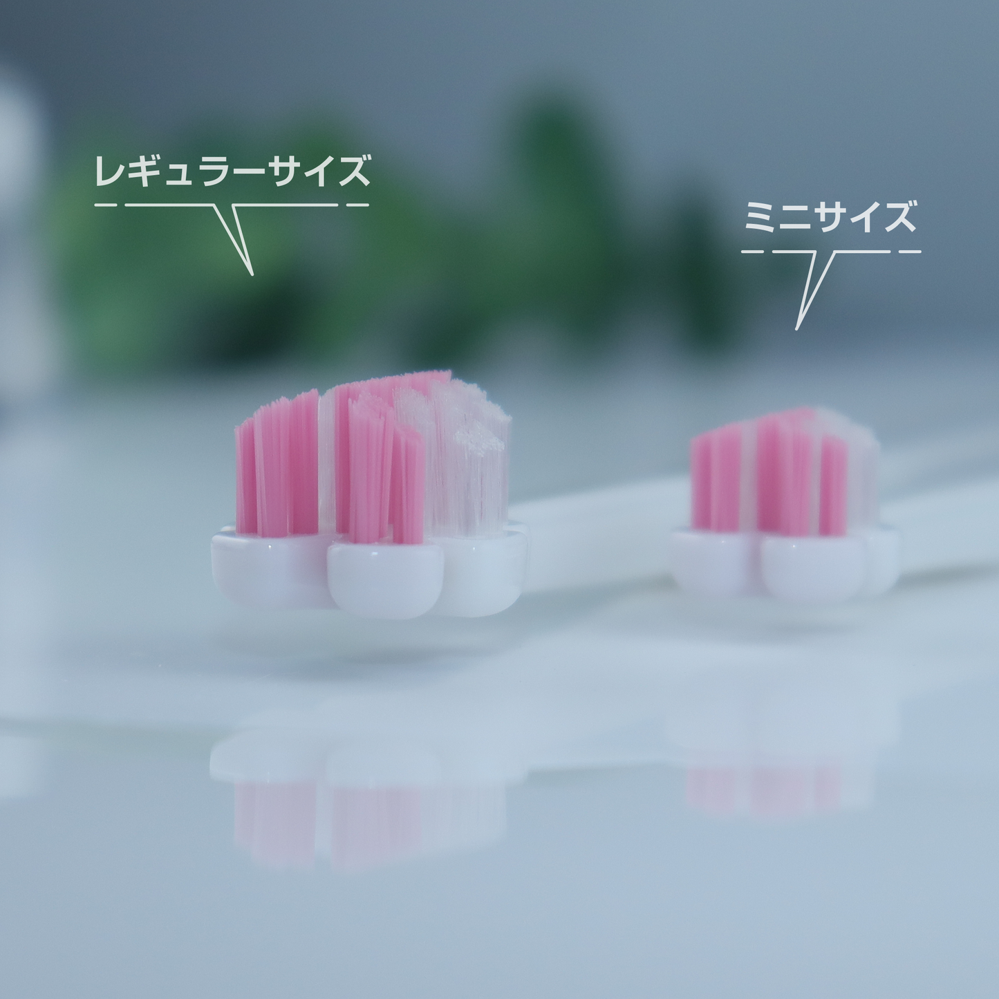 縦磨き歯ブラシV5（レギュラーサイズ）