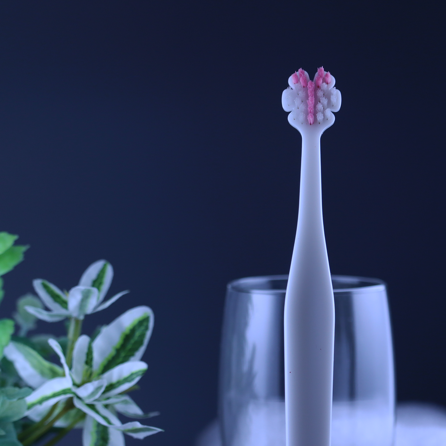 縦磨き歯ブラシV5（レギュラーサイズ）