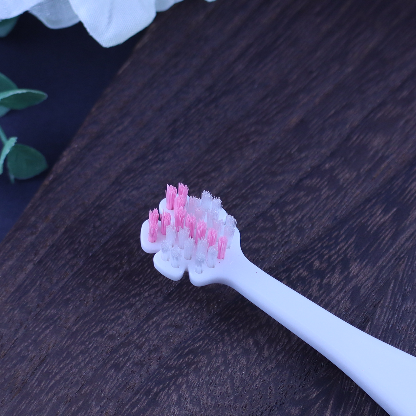 縦磨き歯ブラシV5（レギュラーサイズ）