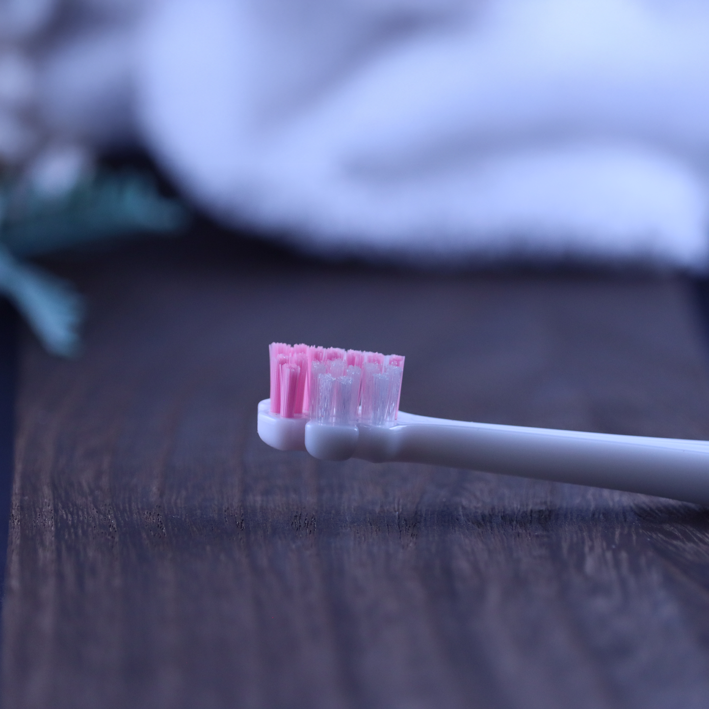 縦磨き歯ブラシV5（レギュラーサイズ）