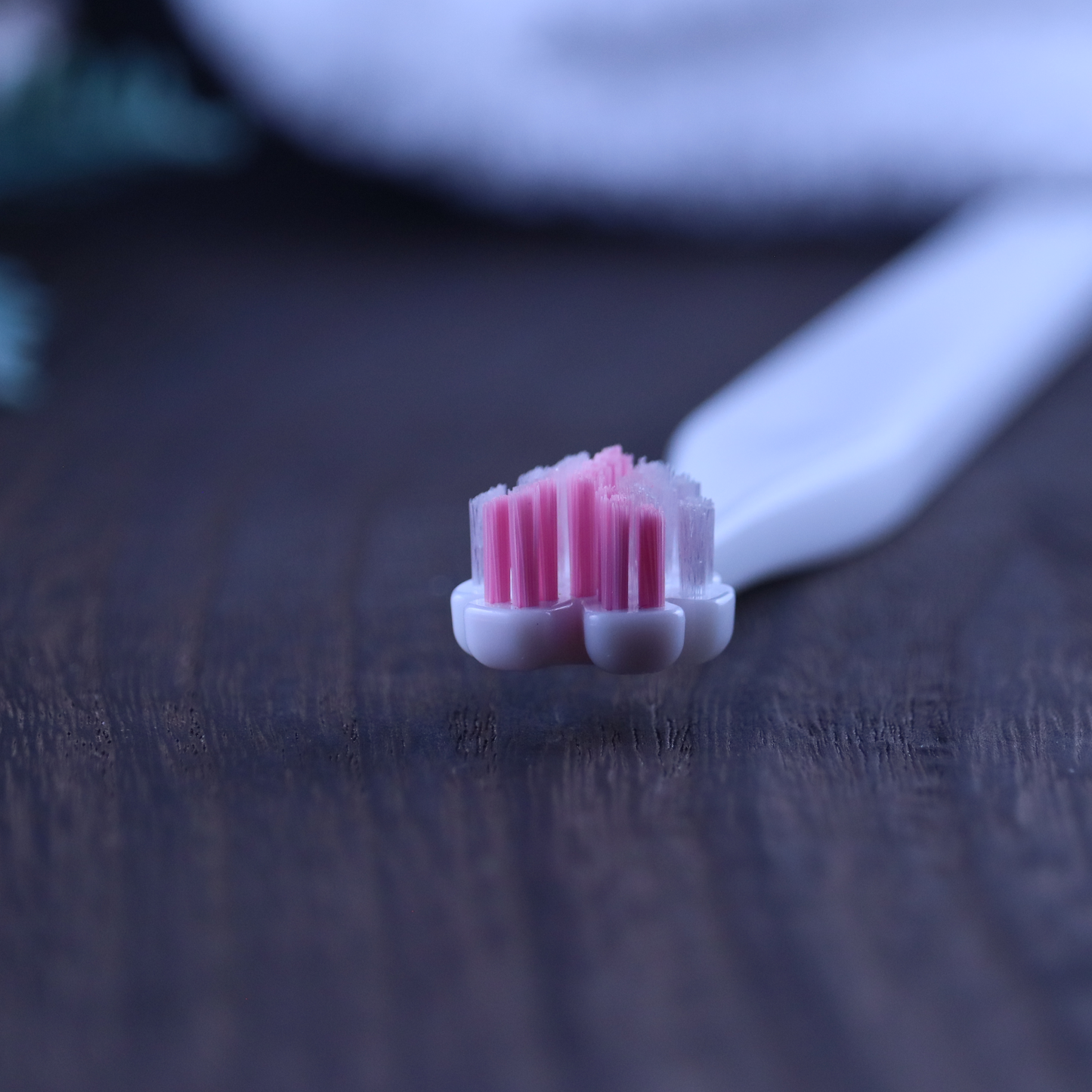 縦磨き歯ブラシV5（レギュラーサイズ）