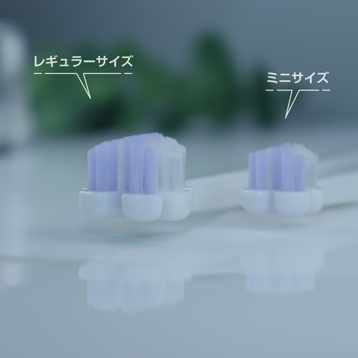 縦磨き歯ブラシV5（レギュラーサイズ）