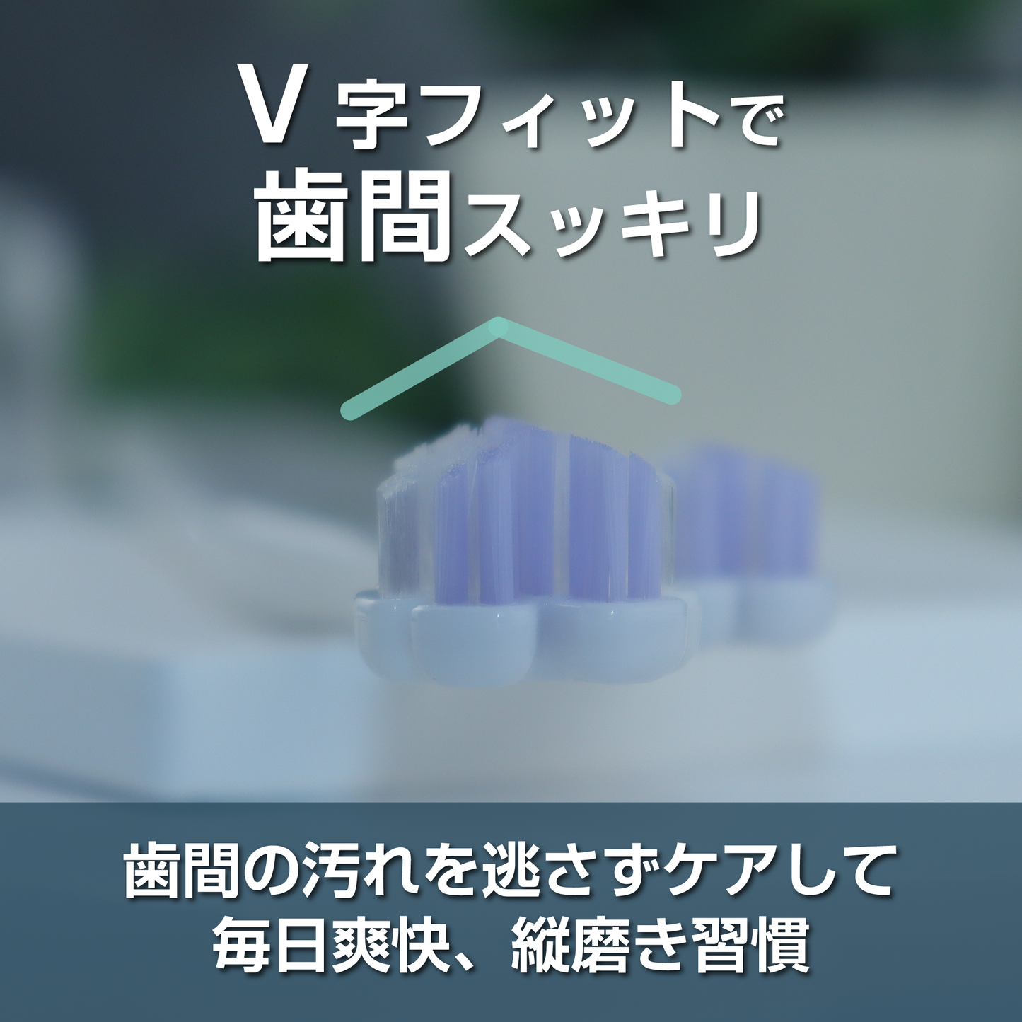 縦磨き歯ブラシV5（レギュラーサイズ）