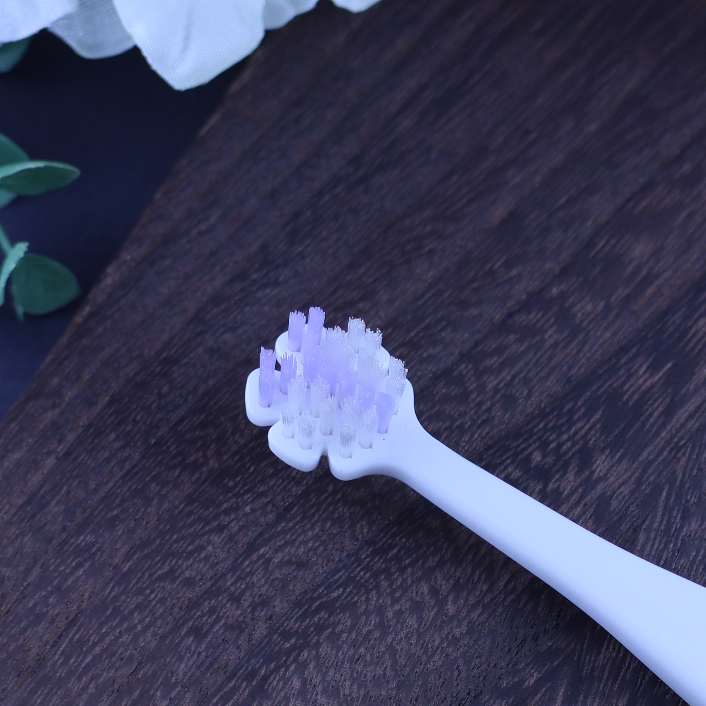 縦磨き歯ブラシV5（レギュラーサイズ）