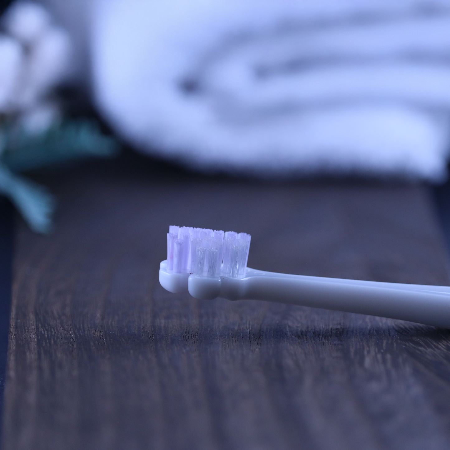 縦磨き歯ブラシV5（レギュラーサイズ）