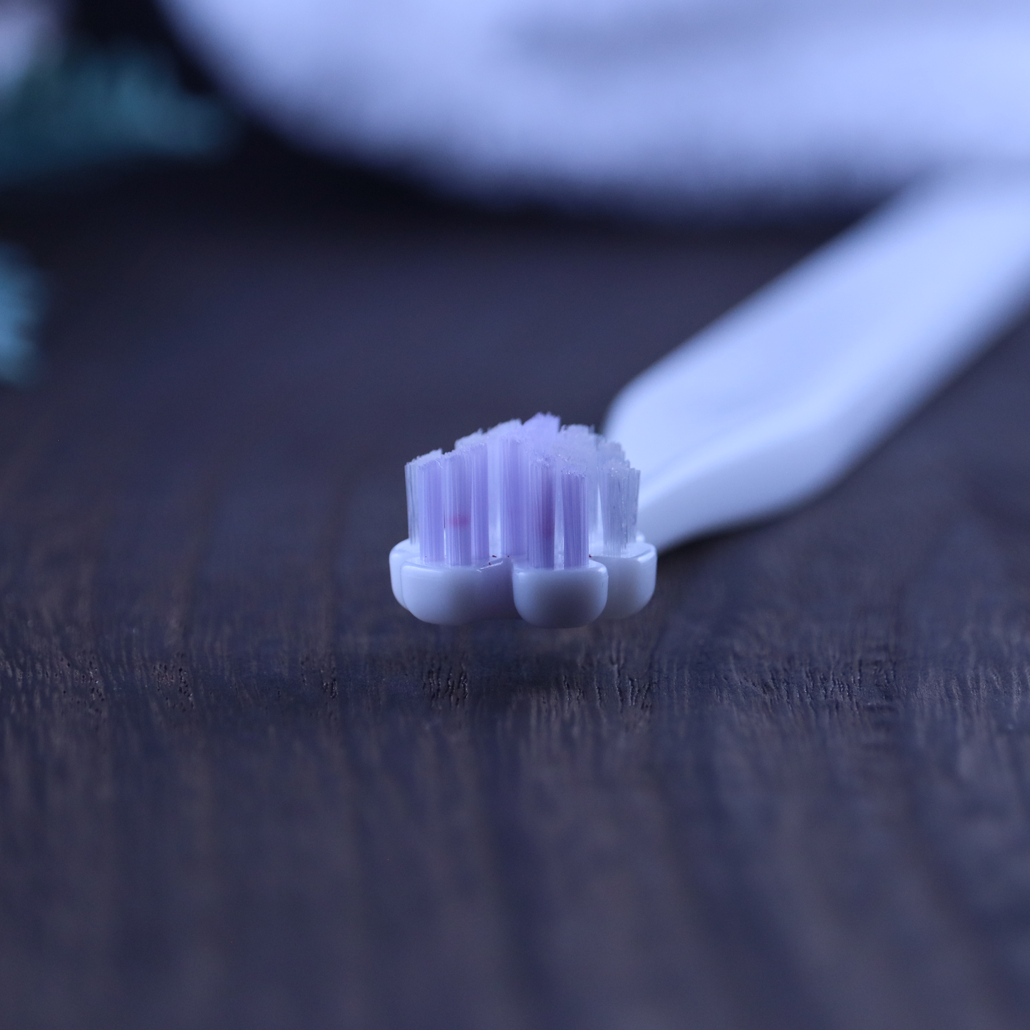 縦磨き歯ブラシV5（レギュラーサイズ）