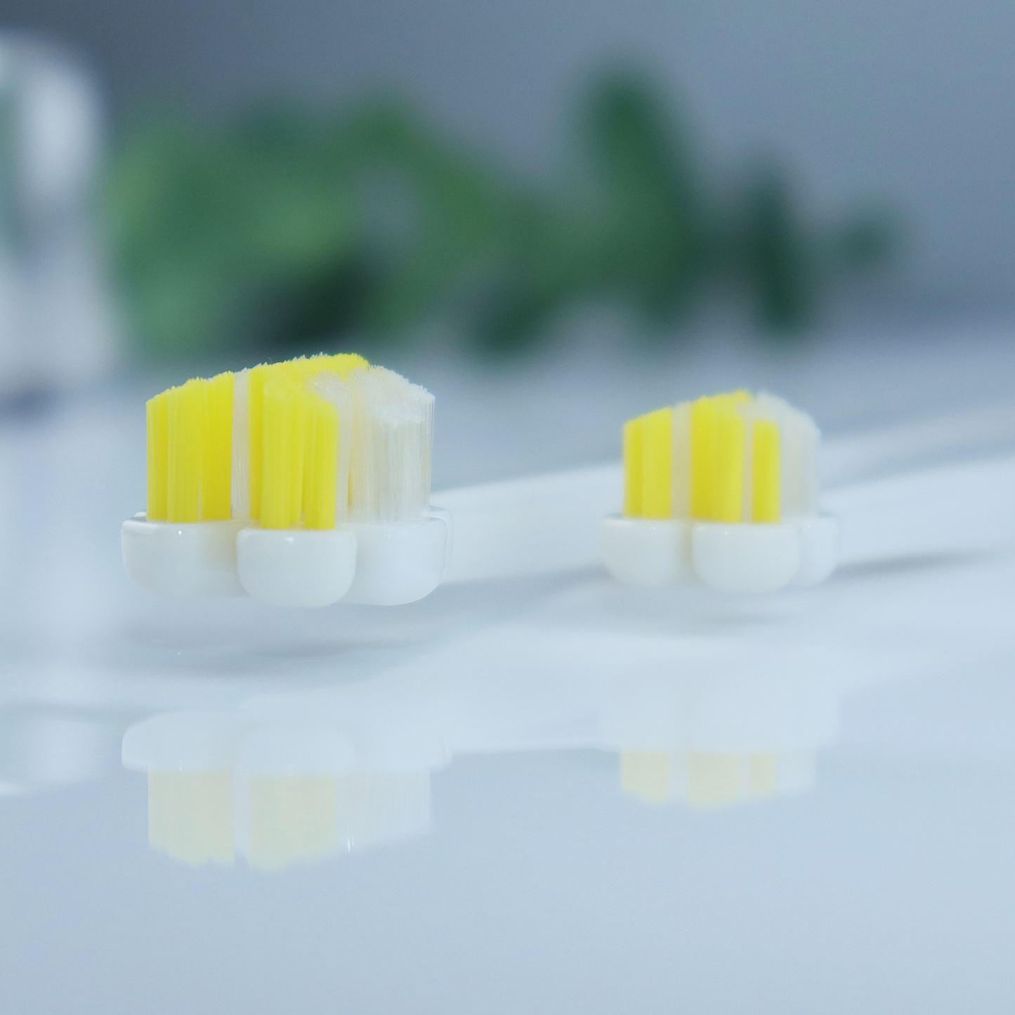 縦磨き歯ブラシV5（レギュラーサイズ）