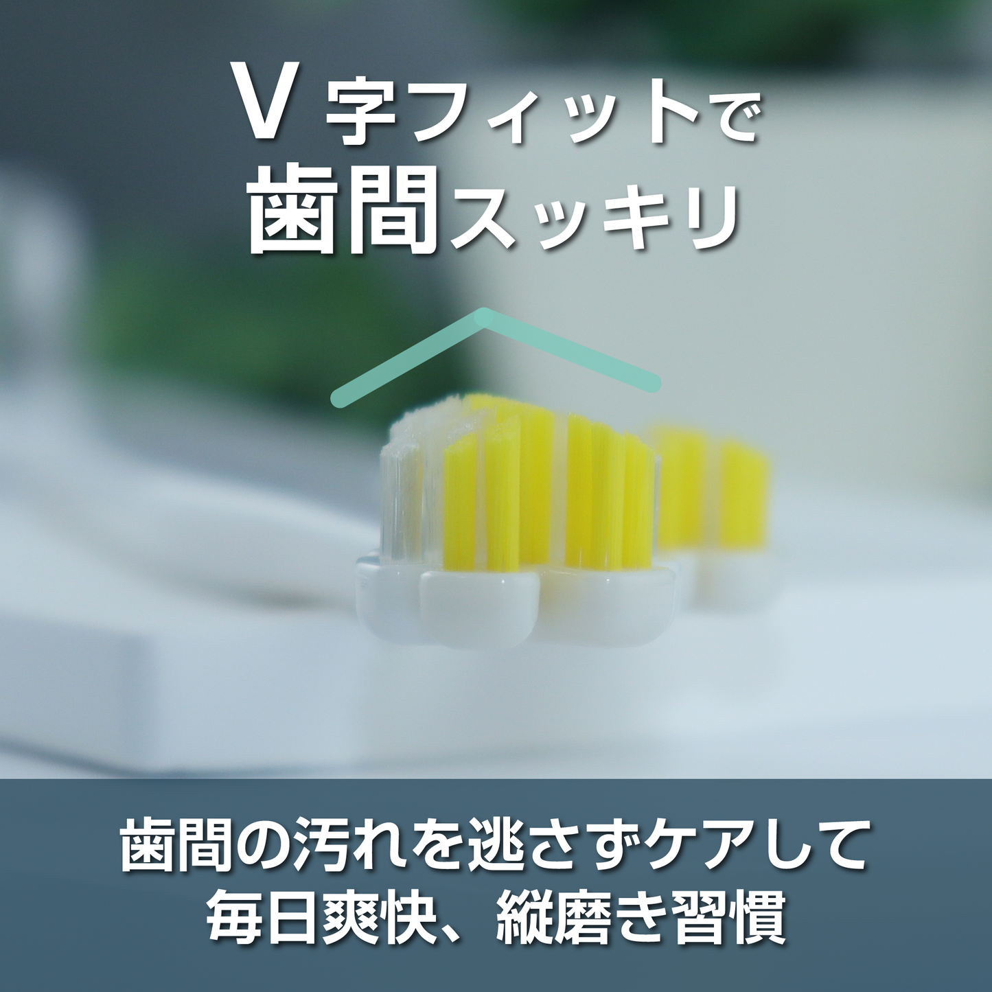 縦磨き歯ブラシV5（レギュラーサイズ）