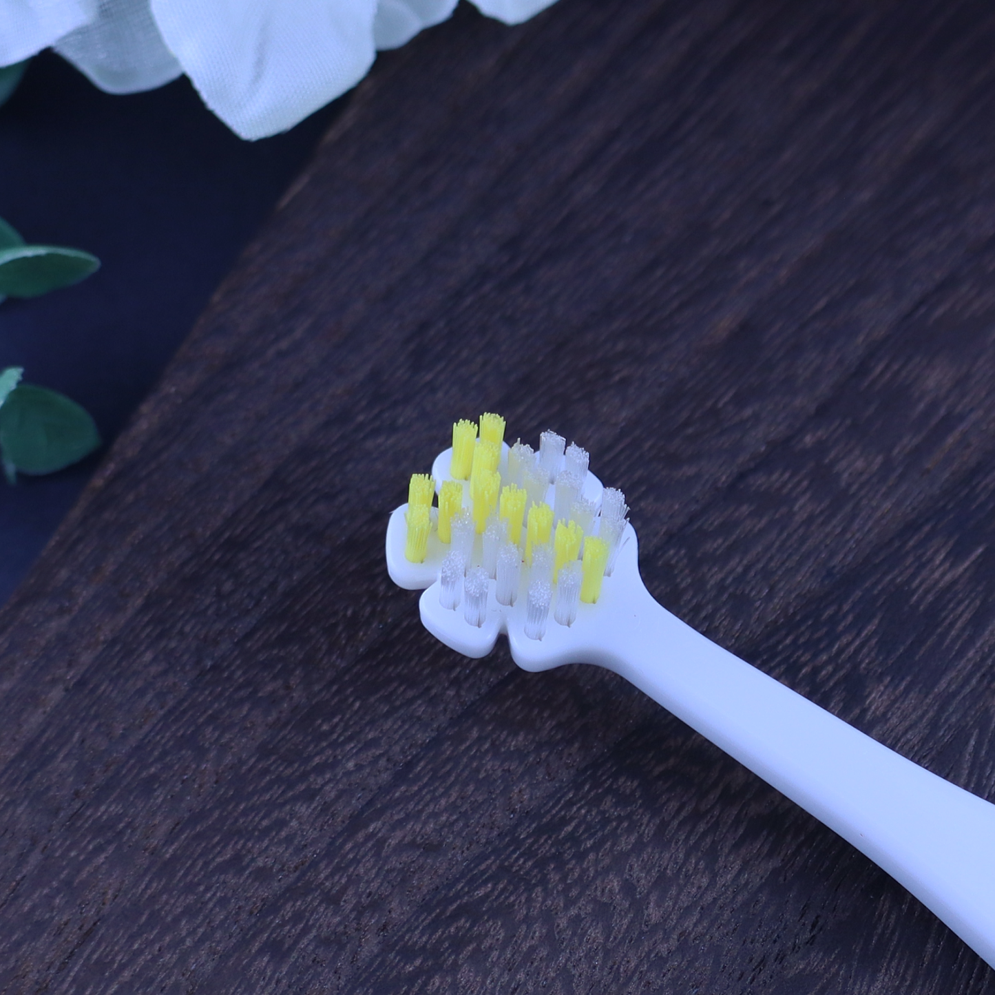 縦磨き歯ブラシV5（レギュラーサイズ）