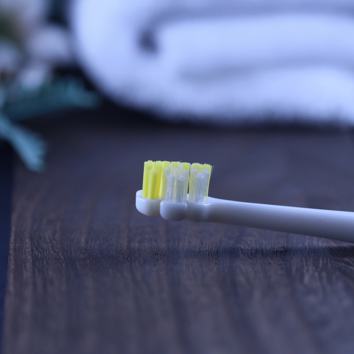 縦磨き歯ブラシV5（レギュラーサイズ）