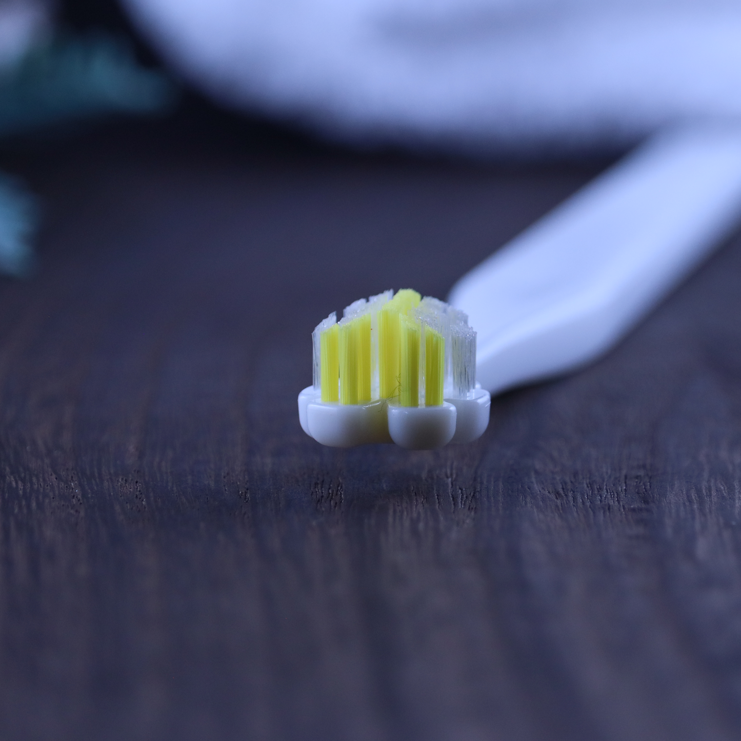 縦磨き歯ブラシV5（レギュラーサイズ）